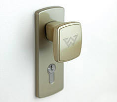 zloto oliwkowe ral 1035