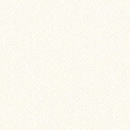 ral 9010 modern white