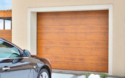 zima-segm-zl-dab-(8)_OK