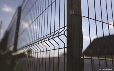 IMG_2642_vega_3d_panele